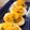 Felice's cooksnap of when they made Turmeric Deviled Eggs.
