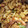 Nithyakalyani Sahayaraj's cooksnap of when they made மசாலா மக்ரோனி.