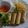 Karan Tripathi (Food Fanatic) का कुकस्नैप जब उन्होंने चीज़ी वेज स्प्रिंग रोल (cheesy veg spring roll recipe in Hindi) बनाया था।