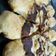 Cooksnap dari mi2n oten untuk resep Homemade Cheesy Bites Pizza