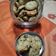 Cooksnap από Ελενα Λιαπικου στη συνταγή Cookies, εύκολα, σπιτικά και νόστιμα