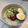 Cooksnap dari Naff untuk resep Bibim Guksu (Shirataki)
