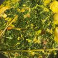 Cooksnap dari bty untuk resep Sayur daun singkong kuah santan