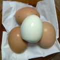 Cooksnap dari Jenny.L Kitchen untuk resep Telur rebus simple ala magiccom
