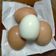 Cooksnap dari Jenny.L Kitchen untuk resep Telur rebus simple ala magiccom