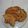 Cooksnap dari Via styandari untuk resep Crepes crispy