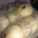 Cooksnap dari nita tata untuk resep Bakpao kukus Lembut
