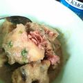 Cooksnap dari Dewi Dee untuk resep Opor ayam