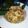 El cooksnap de Zaida TC @alquimiasfood cuando hizo Tortellini con salsa de quesos, portobello y sajonia.