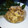 El cooksnap de Zaida TC @alquimiasfood cuando hizo Tortellini con salsa de quesos, portobello y sajonia.