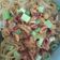 Cooksnap dari yanie untuk resep Mie ayam solo 🍝