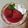 El cooksnap de დAnne_Adeleineდ cuando hizo Peras al vino tinto.