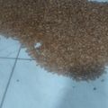 El cooksnap de Carmen Campos Barreiro cuando hizo Garrapiñada casera.