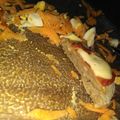 El cooksnap de Cintia Brunetti cuando hizo Milanesas de poroto de soja.