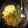 El cooksnap de Cook_and_Jud cuando hizo Judías verdes con atún y orégano.