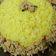 صورة من Peeress Peeress، شاركها بعد تجربة وصفة رز مفلفل بلحمة🍛