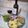 El cooksnap de Mili Suarez cuando hizo Costilla papas y piña canaria.