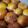 Muneeba 's cooksnap of when they made Gulab Jaman.