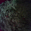 El cooksnap de rosni cuando hizo Arroz con pollo espectacular!!.