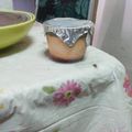 Kuo Edge 的 【COOKING BUBU】 零失敗 香甜軟滑 焦糖雞蛋布丁做法♥ cooksnap