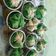 Cooksnap dari Nadya Putri untuk resep Bolu Kukus Pasti Mekar