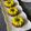 Cooksnap dari Dewix Donce untuk resep Puding Bunga Matahari 🌻
