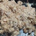 El cooksnap de Valeria Calentano cuando hizo Pollo a la crema con arroz!😋.