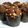 Cooksnap dari Nikenasih Binatari untuk resep Muffin Choco Chip