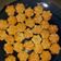Cooksnap dari liana untuk resep Kastengel Cheddar Cookies