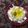 Geeta Khurana's cooksnap of when they made Kadhi rice.
