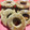El cooksnap de Maharai Keren P cuando hizo Rosquilla de anís al horno.
