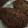 charlettebryan98's cooksnap of when they made Banana bread!.