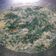 Cooksnap dari Ganjar Ningrum untuk resep Daun singkong udang rebon