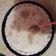 El cooksnap de miily cuando hizo Masa para tarta.