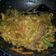 Cooksnap dari CL untuk resep Kwetiau Goreng Special