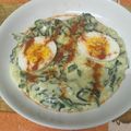 El cooksnap de guillemga33@gmail.com cuando hizo Espinaca fresca con calabacín en crema y huevo duro 🥚.