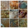El cooksnap de miriam gonzalez cuando hizo Salsa Boloñesa para las pastas a mi manera.