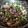 Cooksnap dari Amelia Yuna untuk resep Tumis cumi basah cabe ijo