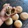 Cooksnap dari Ami Kaufmann untuk resep Bakpia Kering