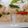 Jasmin Motta _ #BeingMotta's cooksnap of when they made ફરાળી ઢોકળા (Farali Dhokla Recipe In Gujarati).