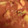 El cooksnap de Mery cuando hizo Sepia en salsa de tomate.