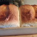 debbers's cooksnap of when they made Amish white bread.