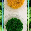 pinky makhija का कुकस्नैप जब उन्होंने टूटी फ्रूटी (Tutti fruity recipe in hindi) बनाया था।