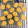 Cooksnap của Quế Phi khi họ làm theo món Vào bếp cùng con: bánh quy bơ trà xanh (matcha cookies)