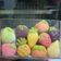 Cooksnap dari Nina Laela untuk resep Cookies karakter buah sederhana tp nyessss..