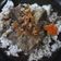 Cooksnap dari Dyah Isnaini Puspitasari untuk resep Rawon Daging Sapi khas Jawa Timur