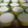 Cooksnap dari Erma Suryani untuk resep Puding Labu Kuning - Saus Santan