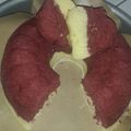Cooksnap dari Rika Indrasari untuk resep Bolu singkong kukus