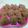 Cooksnap dari Euis Rodiahwati untuk resep Brownies Kukus