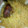 hafsycakes nd more's cooksnap of when they made Curry jollof rice.